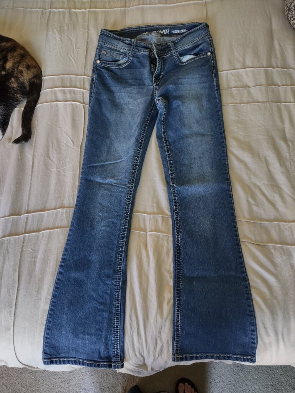 WallFlower Insta Stretch Luscious Curvy Bootcut Jeans
